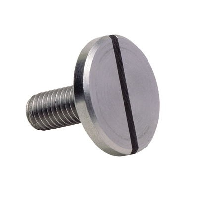 DIN 921 Slotted pan head screws with large head